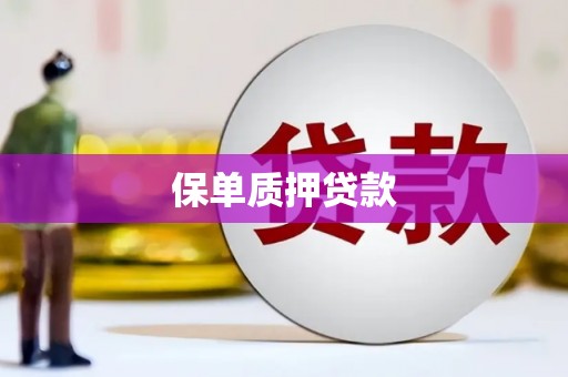 京山保单质押贷款