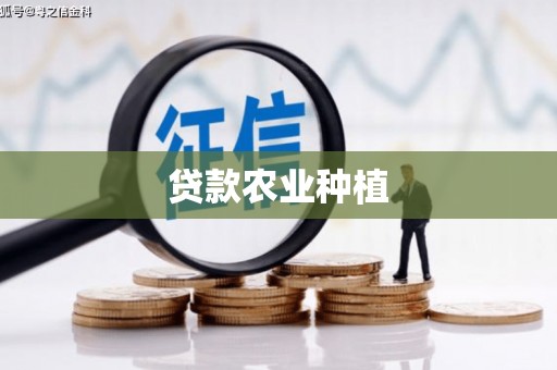 京山贷款农业种植