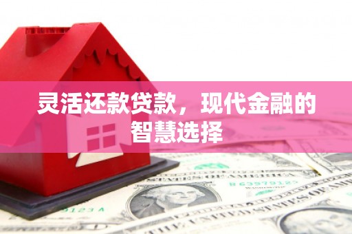 京山灵活还款贷款，现代金融的智慧选择