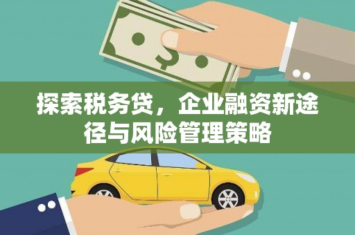 京山探索税务贷，企业融资新途径与风险管理策略
