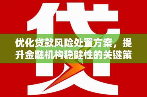 京山优化贷款风险处置方案，提升金融机构稳健性的关键策略