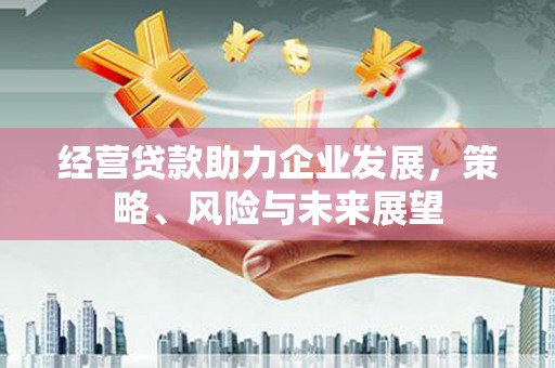 京山经营贷款助力企业发展，策略、风险与未来展望