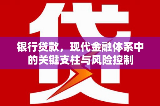 京山银行贷款，现代金融体系中的关键支柱与风险控制