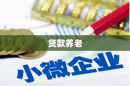 京山贷款养老