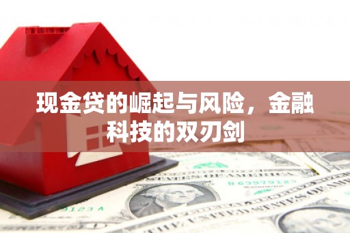 京山现金贷的崛起与风险，金融科技的双刃剑