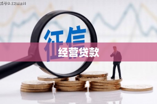 京山经营贷款