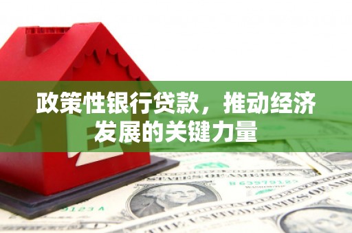 京山政策性银行贷款，推动经济发展的关键力量
