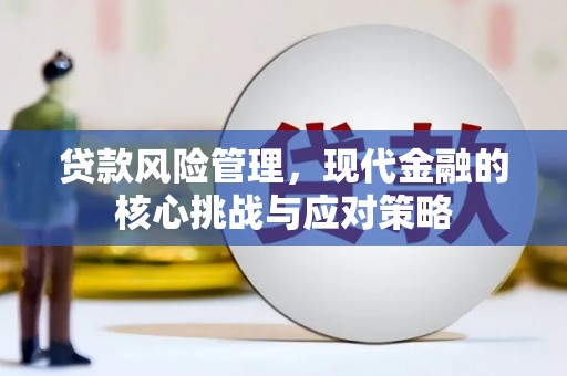 京山贷款风险管理，现代金融的核心挑战与应对策略