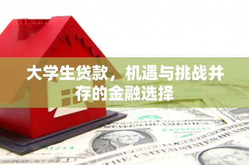 京山大学生贷款，机遇与挑战并存的金融选择