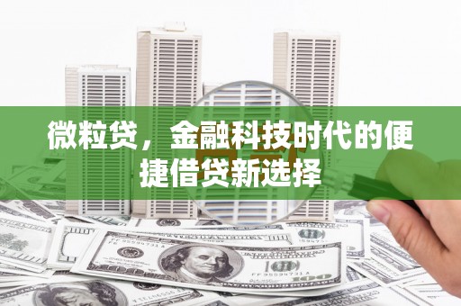 京山微粒贷，金融科技时代的便捷借贷新选择