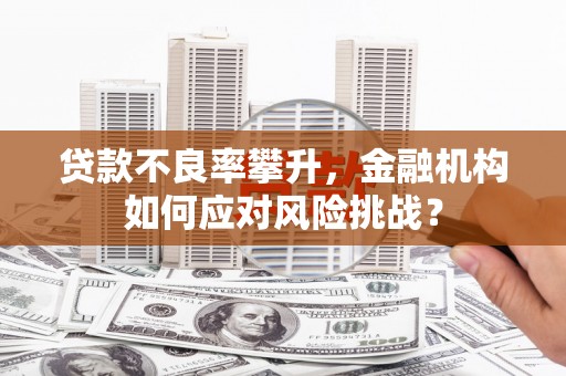 京山贷款不良率攀升，金融机构如何应对风险挑战？