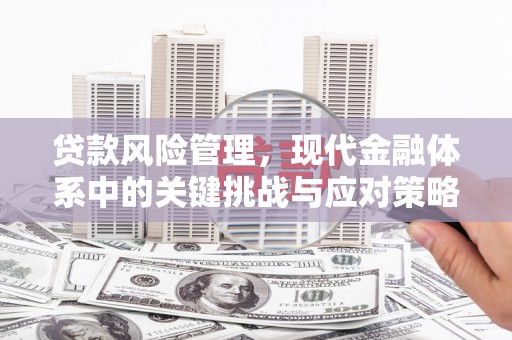 京山贷款风险管理，现代金融体系中的关键挑战与应对策略