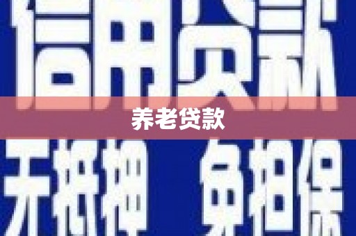 京山养老贷款