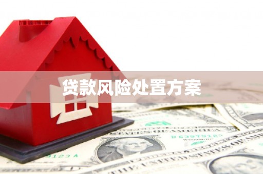 京山贷款风险处置方案